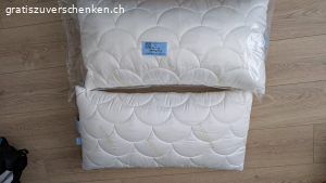 2 neue Kissen