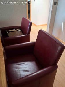 2 Stück Longlife Leder Sessel