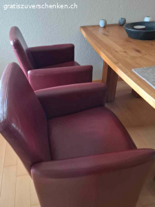 2 Stück Longlife Leder Sessel