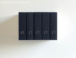 6 Aktenordnerregale Linea 1