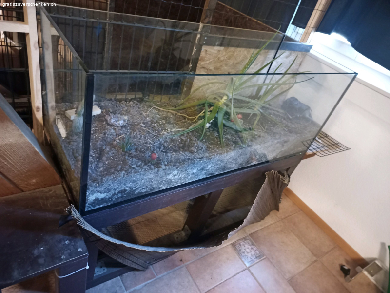 altes Aquarium perfekt für Nager