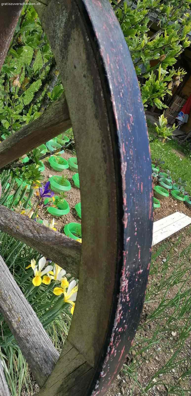 Altes Wagenrad. Ca. 160cm durchmesser. Für bastler zum renovieren.