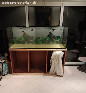 Aquarium 150 x 50 x 50 cm
