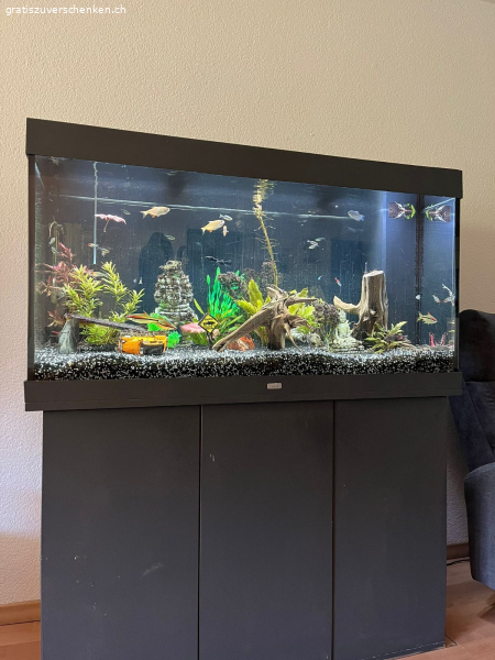 Aquarium 350 l zu verschenken