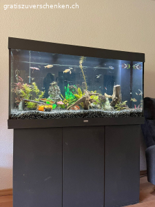 Aquarium 350 l zu verschenken