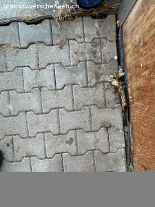 Betonpflastersteine zu verschenken