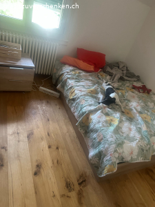 2xZweisitzer Couch in hellgrau