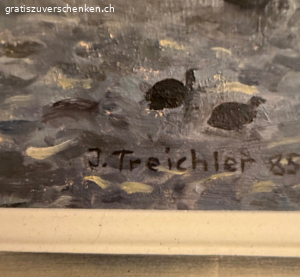 Bild von Jürg Treichler 85