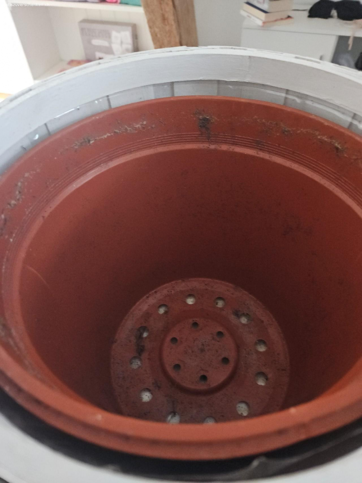 Blumentopf mit Innentopf 24cm. Weisser Aussentopf

aus Bambus/Holz  Durchmesser Aussentopf 24cm
zur Abholung in Horw/LU