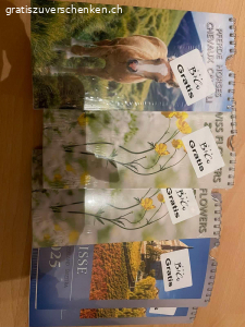 Div Kalender 25. Weitere Fotos Folgen 
Div Kalender 25 Hier Gilt nur das Porto Bezahlen
10.- TWINT inkl Adress Angabe.