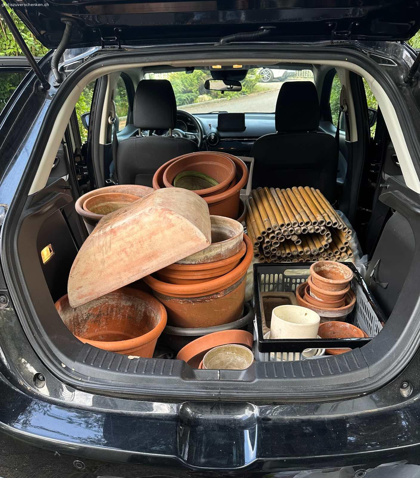 Diverse Blumentöpfe Ton und Plastik. Wegen Umzug verschenke ich diverse Blumentöpfe (Ton und Plastik), in unterschiedlichen Grössen für Gartenpflanzen (ohne Inhalt).
Sie können in 5605 Dottikon abgeholt werden.