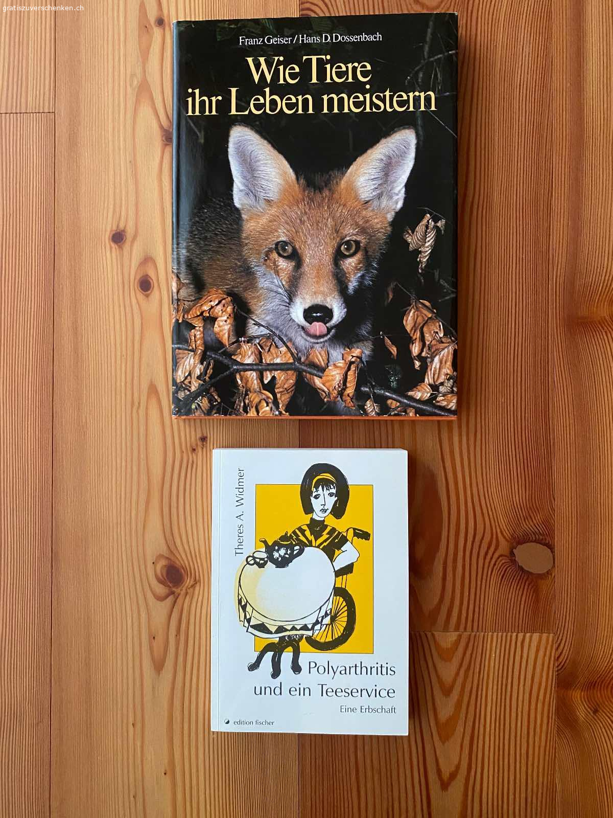 Diverse Bücher. Diverse Bücher gratis abzugeben. 

Harry Potter, Robinson Crusoe, We of the Never-Never: sind auf ENGLISCH
Harry Potter sind einige Wörter unterstrichen - hindert nicht beim lesen. 

Piri und die Katze - ist auf der 1. Seite ein Name eingeschrieben. 

Immer mit der Ruhe - fehlt die 1. Seite (war eine leere Seite mit einer Widmung). 

Bücher müssen abgeholt werden.