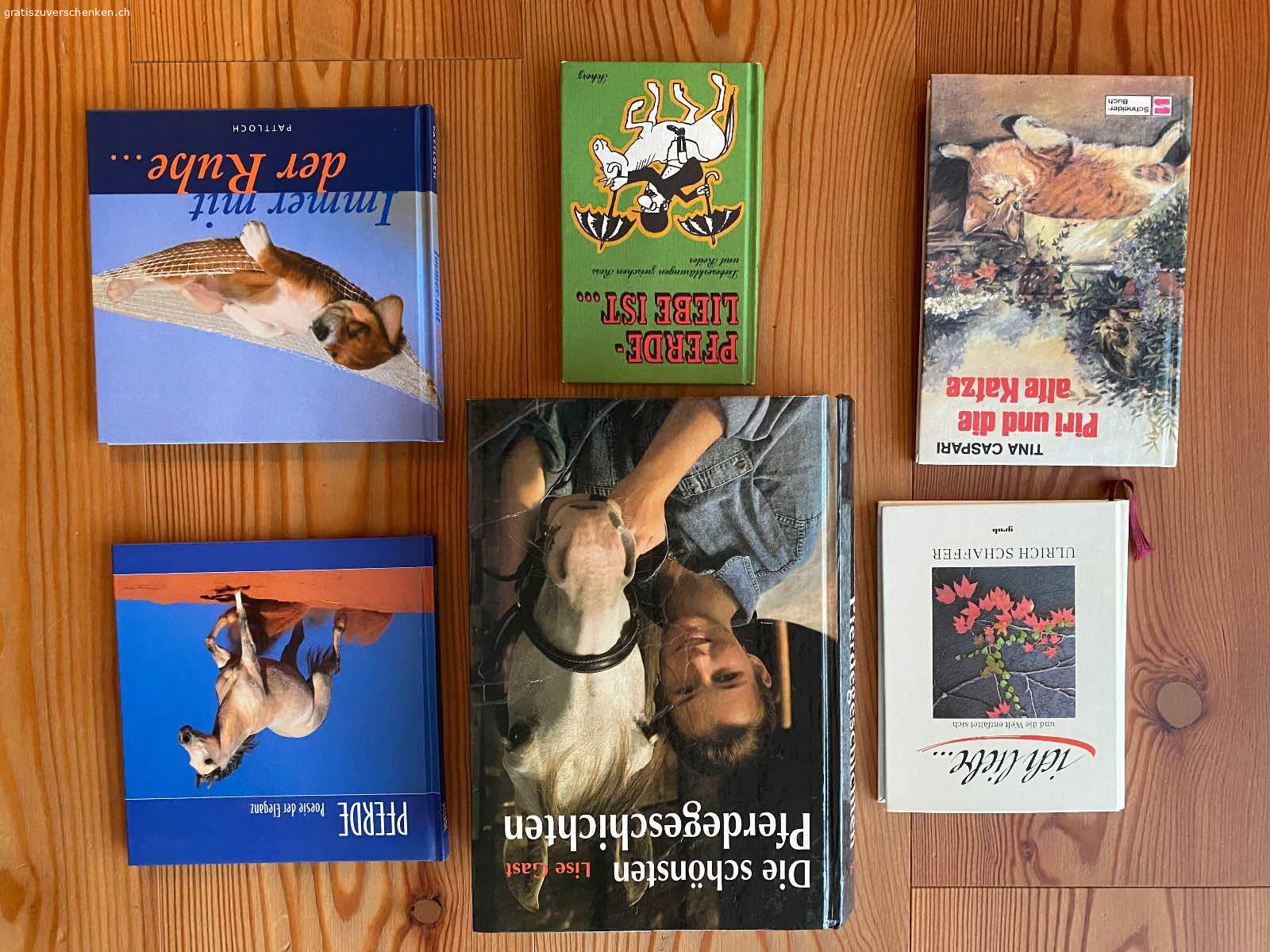 Diverse Bücher. Diverse Bücher gratis abzugeben. 

Harry Potter, Robinson Crusoe, We of the Never-Never: sind auf ENGLISCH
Harry Potter sind einige Wörter unterstrichen - hindert nicht beim lesen. 

Piri und die Katze - ist auf der 1. Seite ein Name eingeschrieben. 

Immer mit der Ruhe - fehlt die 1. Seite (war eine leere Seite mit einer Widmung). 

Bücher müssen abgeholt werden.