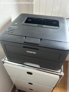 Drucker brother