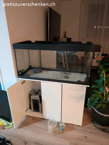 Eheim Aquarium