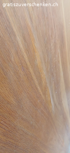 Esstisch Holz