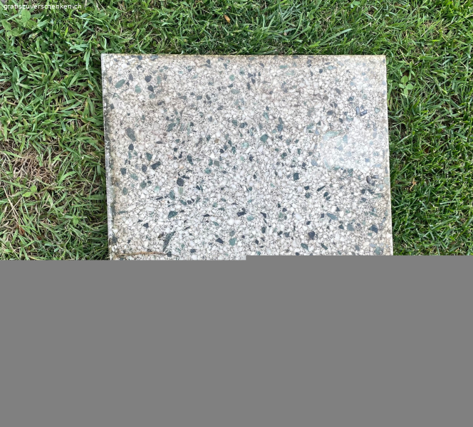 Gartenplatten