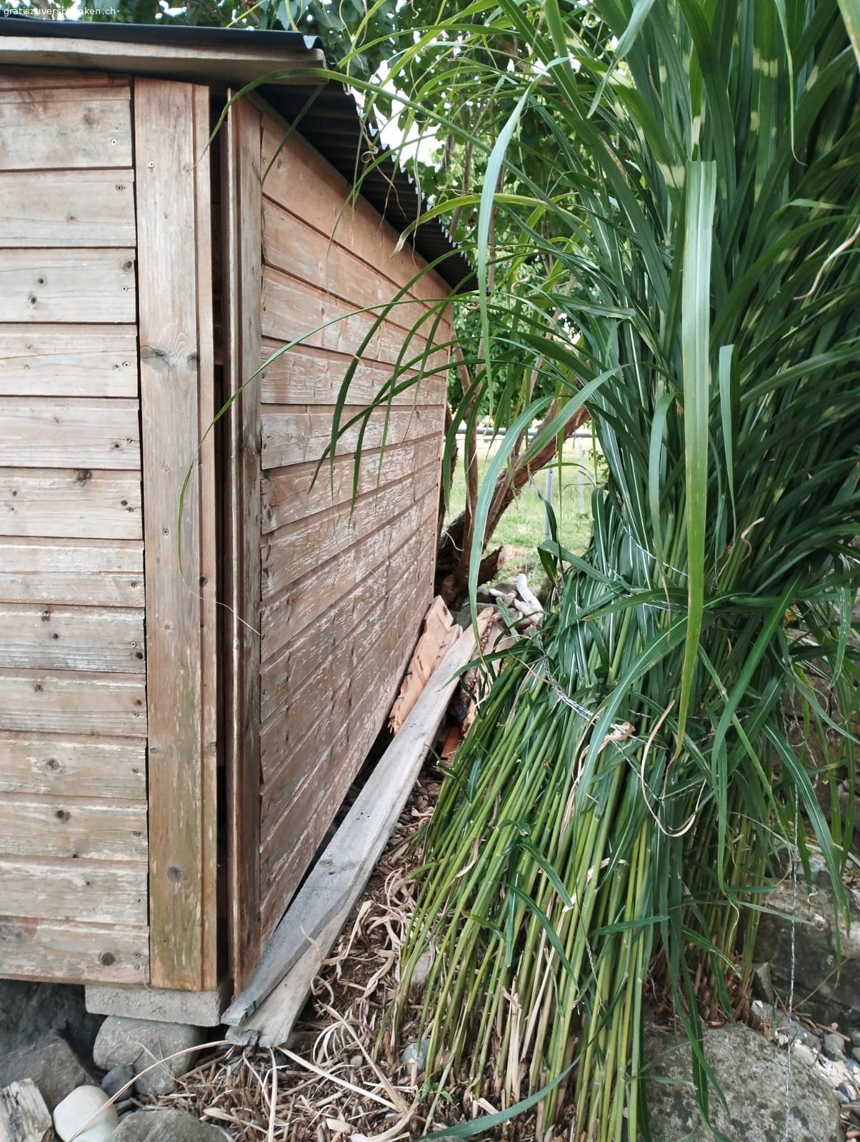 Gartenunterstand. Gartenunterstand gratis abzugeben, muss diese Woche abgeholt werden. Ohne Inhalt, Masse HxLxB 1.2x2x1m