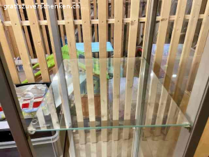 Glasvitrine. Zu verschenken: Glasvitrine
zwei Glastablare plus Glastüre
Masse: 
38cm breit
40cm tief
125cm hoch
Gebraucht, guter Zustand