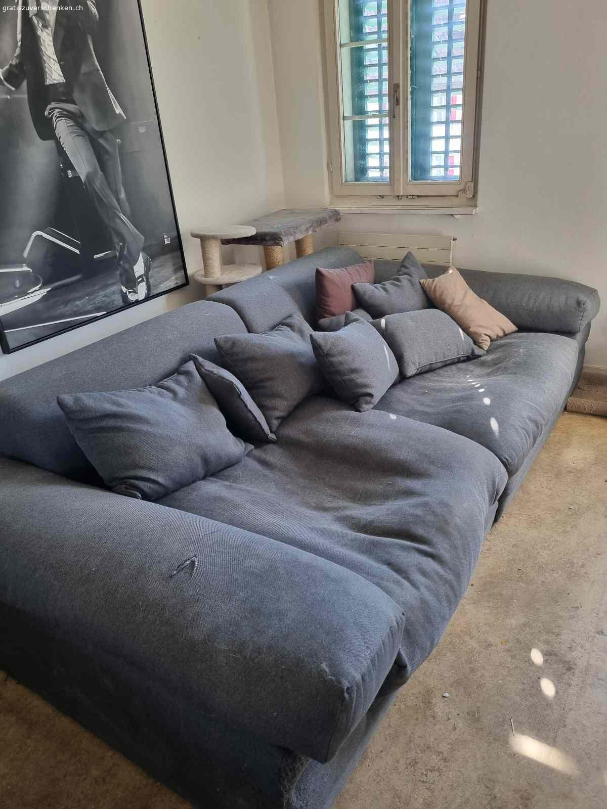 Gratis Möbel zu verschenken (Abholung und Transport selbst). verschenke folgende Möbel:
Sofa (2019 gekauft, gut erhalten, leichte Kratzspuren durch meine Katze, aber keine Urinspuren, nur Haar und Staub durch den Umzug)
Schrank (ca. 20 Jahre alt, aber noch intakt)
Ikea Kommode (2019 gekauft, gut erhalten)
Boxspringbett (2019 gekauft, sehr bequem, Kratzspuren, Matratze leicht verkrümmt, ansonsten in gutem Zustand)
Wichtig:
Alle Möbel müssen selbst abgeholt, abgebaut, getragen, und transportiert werden.
Ich helfe nicht beim Abbau, Transport, Auseinandernehmen oder Nachuntentragen der Möbel (Bett, Schrank, Kommode, Sofa).
Alle Möbel befinden sich im 2. Stock.
Alle Möbel müssen von euch selbst abgebaut, transportiert und getragen werden.
Zusätzlich: Im 3. Stock gibt es noch ein Sofa und ein Bett, die seit ca. 6 Jahren nicht mehr benutzt wurden. Bei Interesse sende ich gerne Fotos. Diese Möbel müssen ebenfalls selbst abgebaut, transportiert und getragen werden.
Bitte nur bei ernsthaftem Interesse melden! Ich biete die Möbel kostenlos an, aber der Abbau, Transport und das Tragen müssen selbst organisiert werden.