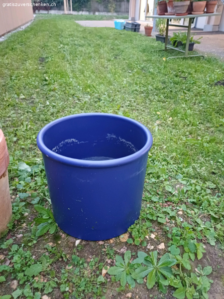 grosser Übertopf (nur abholung!)