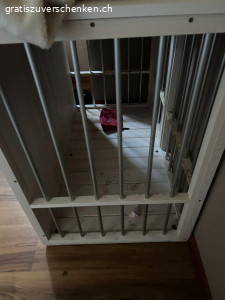 Hunde Box zuhause. Hunde Box für zuhause