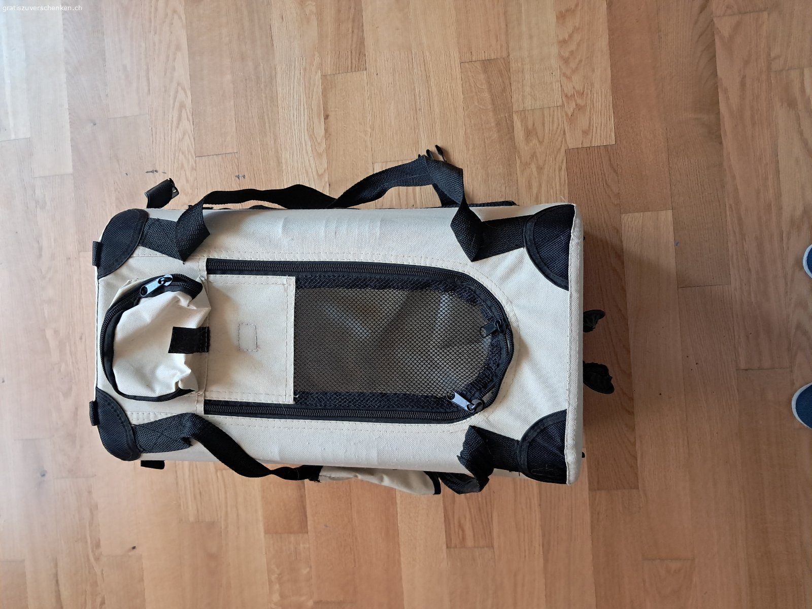 Hundebox klein. Gratis abzugeben swisspet Hundebox für kleinen Hund (Größenordnung Havaneser). Zusammenklappbar. Aus Stoff aber sehr stabil. Muss abgeholt werden.