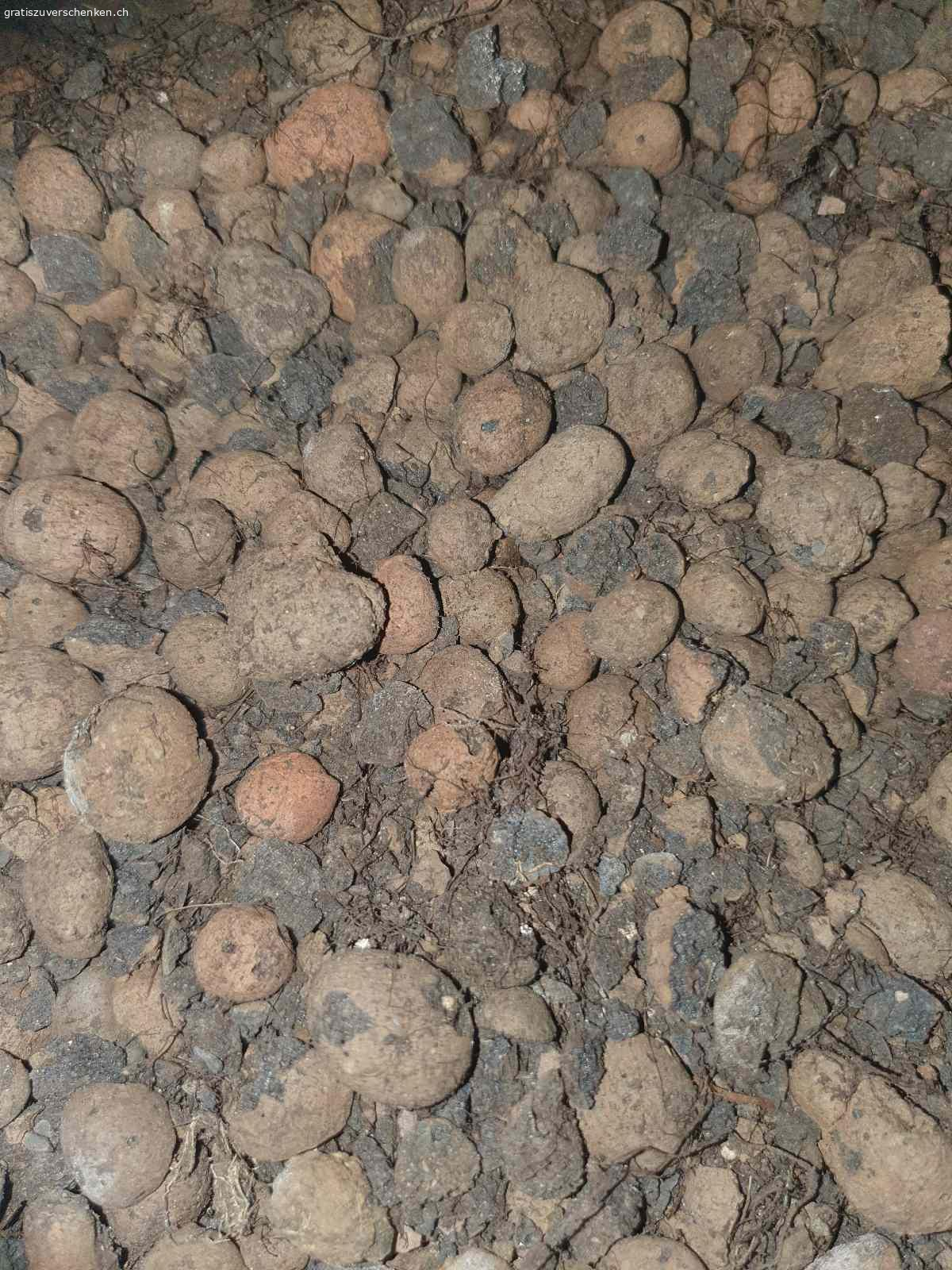 Hydrokugeln gebraucht. Hydrokugeln aus Pflanzentopfen-  gebraucht
Einige Kübel...muss abgefüllt oder in 35Liter Sacken transportiert werden