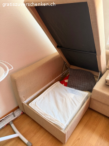 Ikea Friheten Eckbettsofa mit Stauraum in beige