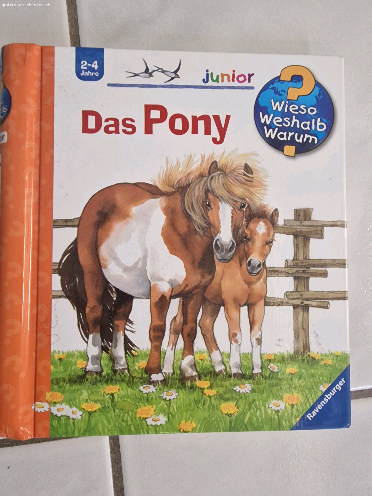 Kinderbücher. Wir verschenken div. Bücher der Kinder, da sie schon zu gross dafür sind :-) Bei interesse melden ( am besten kurzes Mail oder SMS) . Kein Versand. Bei Abholung können die Bücher auch im Briefkasten deponiert werden.