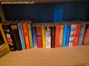 Koch-, Sach-, Reise-, und Taschenbüchet