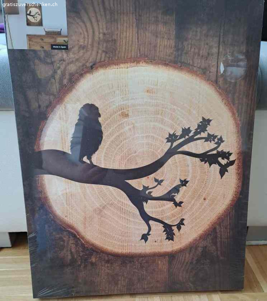 Leinwandbild Eule neu verpackt