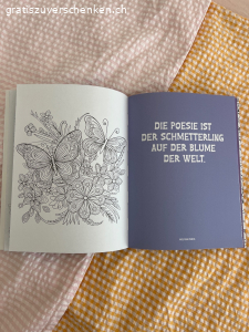 Mandala-Buch Blüten & Schmetterlinge