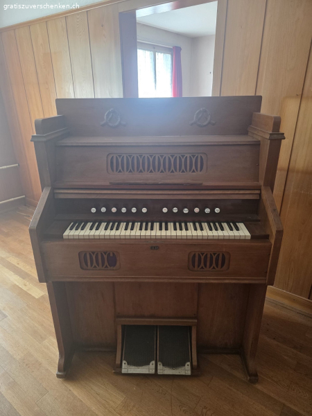 Orgel