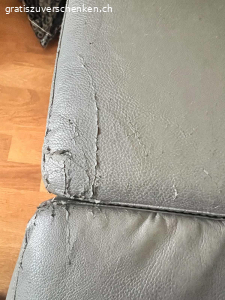 Schlafsofa Leder
