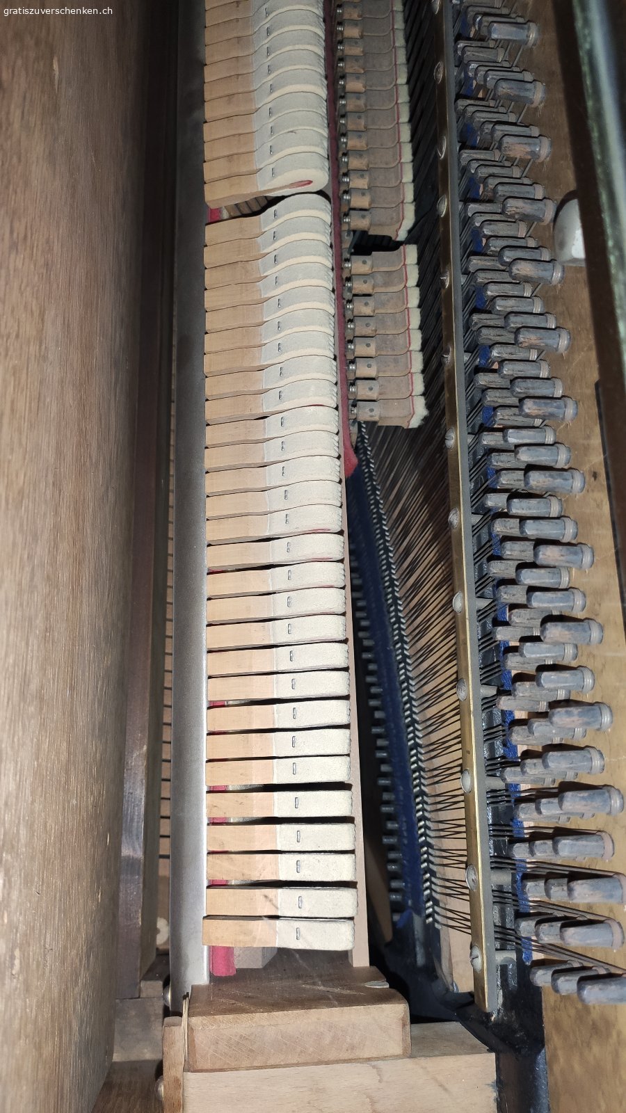 schönes altes Klavier Burger &Jacobi Piano Jacoby. wunderschönes altes Klavier von Burger & Jacobi
Leider kann ich mich nicht dafür motivieren spielen zu lernen, weshalb ich mich davon wieder trennen möchte. Das Klavier hat einen schönen Klang und ist spielbereit, evtl. könnte es wieder Mal gestimmt werden.
Ich würde mich freuen,, wenn es einen neuen Besitzer findet, der Freude an dem schönen Instrument hat
Masse: 150cm breit, 65cm tief, 125 hoch
Das Klavier steht in Luzern Hubelmatt im 3. Stock (ohne Aufzug) der Transport muss selber organisiert werden und würde über ein Klaviertranspoetunternehmen wahrscheinlich innerhalb Luzern um die 800,-Fr kosten 
Eine Besichtigung bzw. Probespielen wäre jederzeit möglich