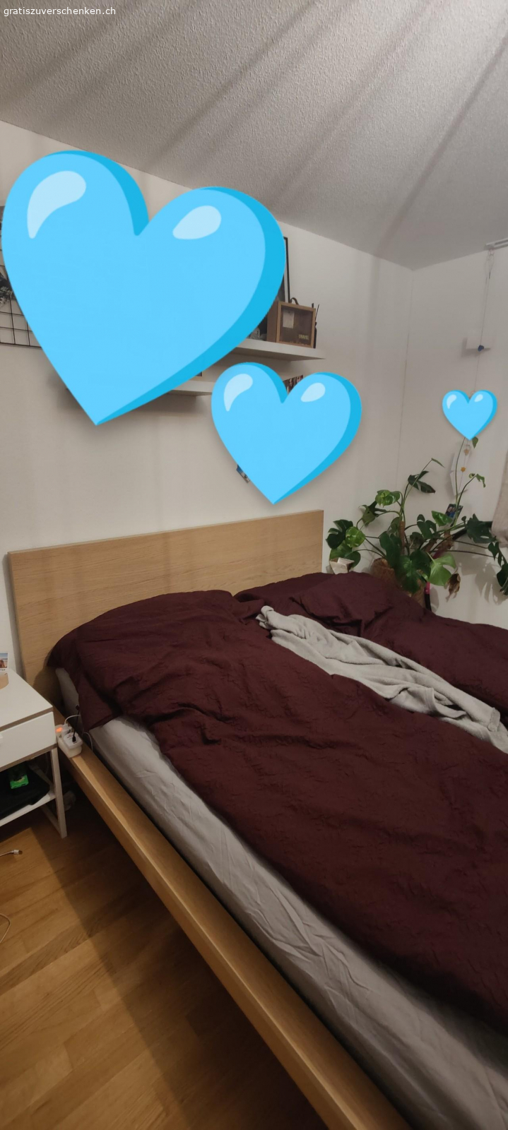 Schönes Bett 160x200cm ink. 2 Na. Da wir uns ein grösseres Bett gekauft haben, verschenken wir nun unser jetziges. Es hat leichte Gebrauchsspuren. Muss bis am 15.3.2025 abgeholt werden. Ohne Matratze.
