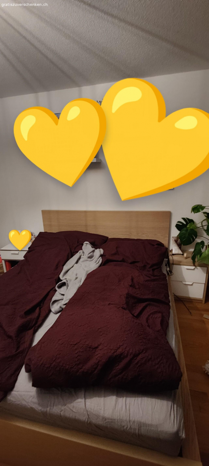 Schönes Bett 160x200cm ink. 2 Na. Da wir uns ein grösseres Bett gekauft haben, verschenken wir nun unser jetziges. Es hat leichte Gebrauchsspuren. Muss bis am 15.3.2025 abgeholt werden. Ohne Matratze.