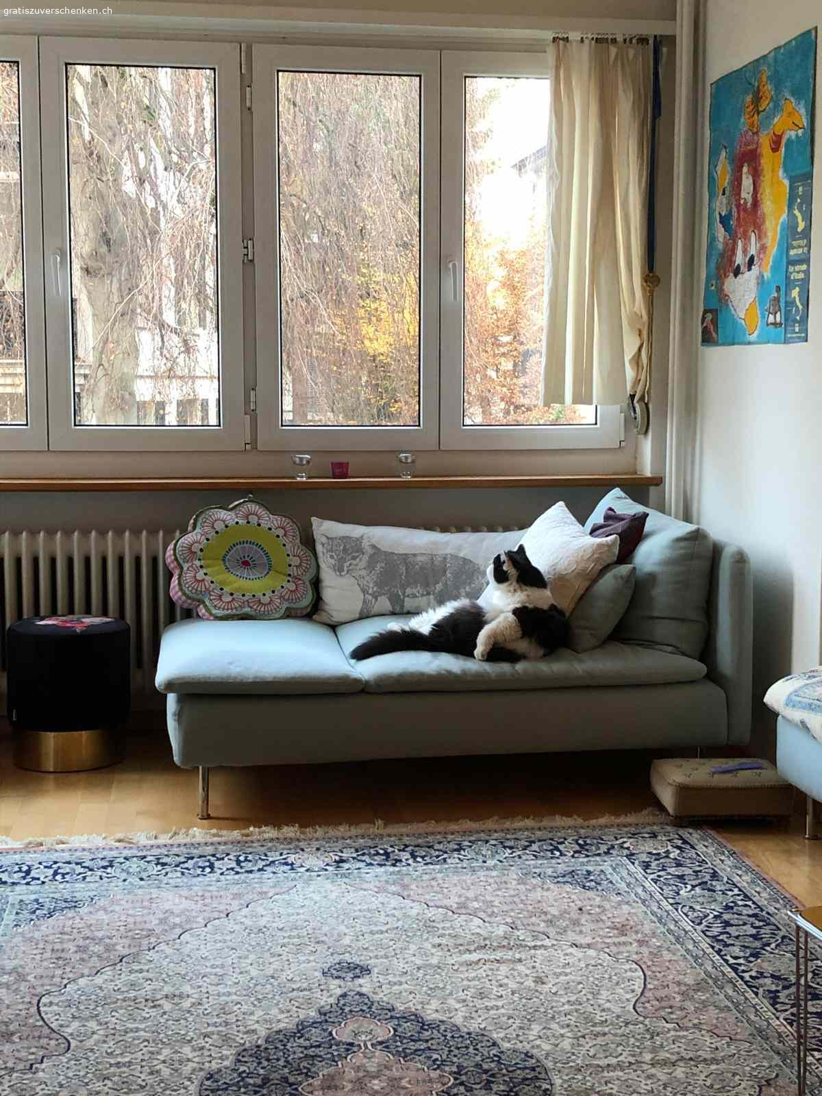 Sofa / Recamiere Ikea. Die Recamiere SÖDERHAMN von Ikea ist ein leichtes und elegantes Sofa. Es ist ca. 10 Jahre alt, aus Nichtraucherhaushalt. Die Polsterung ist noch sehr gut, weil es von Gästen benutzt wurde. Dafür hat es aber auch einen grossen Rotweinfleck. Der Bezug ist zudem verblichen. Man kann die Recamiere aber einfach neu beziehen, dann wieder tip top. Es wäre also schade, sie zu entsorgen. 
https://www.ikea.com/ch/de/p/soederhamn-recamiere-tallmyra-hellgruen-s59430630/?extProvId=5&extPu=14231-gaw&extLi=17869068460&extCr=138890975745-613024953829&gad_source=1&gad_campaignid=17869068460&gbraid=0AAAAADPn7ANp2PkJdiritPQQIEfhOK2Z6&gclid=Cj0KCQiAoZDJBhC0ARIsAERP-F9Q1H22sH-90rAFsZl0yuStsSBupwOEm1HNqz7lpQKfd6qLUN2CBEgaAocCEALw_wcB