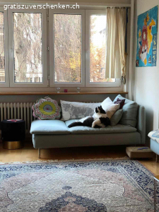 Sofa / Recamiere Ikea. Die Recamiere SÖDERHAMN von Ikea ist ein leichtes und elegantes Sofa. Es ist ca. 10 Jahre alt, aus Nichtraucherhaushalt. Die Polsterung ist noch sehr gut, weil es von Gästen benutzt wurde. Dafür hat es aber auch einen grossen Rotweinfleck. Der Bezug ist zudem verblichen. Man kann die Recamiere aber einfach neu beziehen, dann wieder tip top. Es wäre also schade, sie zu entsorgen. 
https://www.ikea.com/ch/de/p/soederhamn-recamiere-tallmyra-hellgruen-s59430630/?extProvId=5&extPu=14231-gaw&extLi=17869068460&extCr=138890975745-613024953829&gad_source=1&gad_campaignid=17869068460&gbraid=0AAAAADPn7ANp2PkJdiritPQQIEfhOK2Z6&gclid=Cj0KCQiAoZDJBhC0ARIsAERP-F9Q1H22sH-90rAFsZl0yuStsSBupwOEm1HNqz7lpQKfd6qLUN2CBEgaAocCEALw_wcB