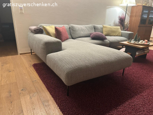 Sofa. sofa ohne die farbigen Kissen
tiefe schmal 90
tiefe auslauf 205
breite 300
höhe vorne 40
höhe hinten 70

Abholung in der Wohnung EG ohne Stufen in 9050 Appenzell