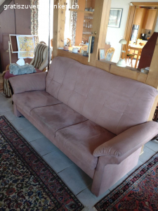 Sofa. Altrosa Sofa. Mit Alcantara bezogen. Perfekt für Katzenbesitzer. Unsere Katze hasste dieses Sofa so sehr, dass sie einen grossen Bogen darum machte. Nicht einmal daran gekratzt hat sie.