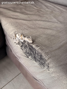 Sofa. Sofa gebraucht, sehr bequem, Anzüge separat abnehmbar und können in der Waschmaschine gereinigt werden
Siehe Beschädigung!
Abholung in Oberdiessbach.