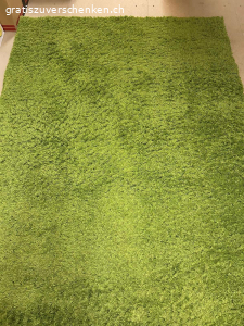 Teppich. Dieser farbenfrohe Teppich, passend zum Frühling, wurde nur im Gästezimmer benutzt. Daher in sehr gutem Zustand. Grösse siehe Photo.