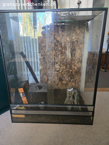Terarium