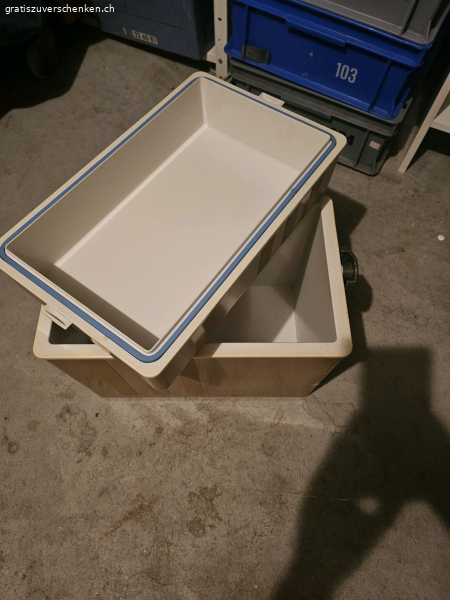 Tiefkühlbox