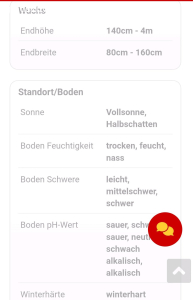 Urweltmammutbaum veredelter