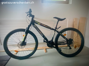 Velo Kind 10 bis 13 jährig