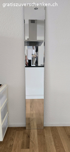 Wandspiegel - 165 X 28 cm