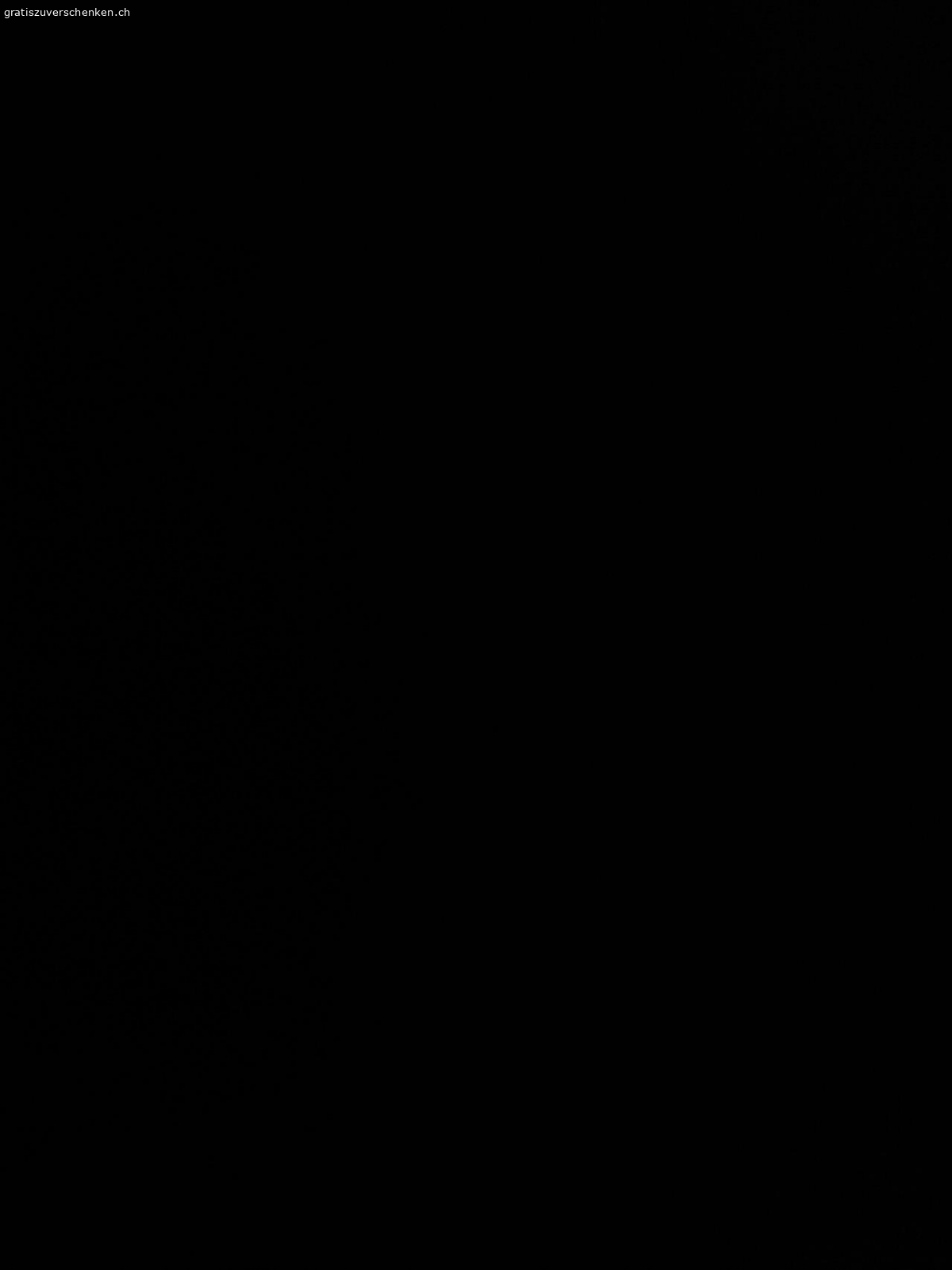 Winterschuhe. Gerne verschenken ich die beiden Winterschuhe, Grösse 39